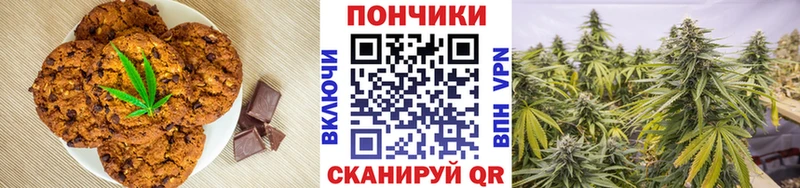 Canna-Cookies конопля  купить наркоту  hydra сайт  Волгореченск 
