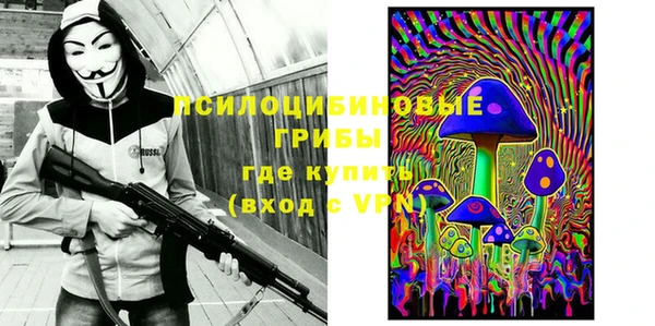 трава Белокуриха