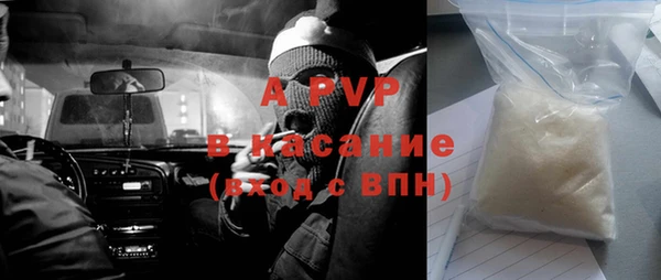 трава Белокуриха