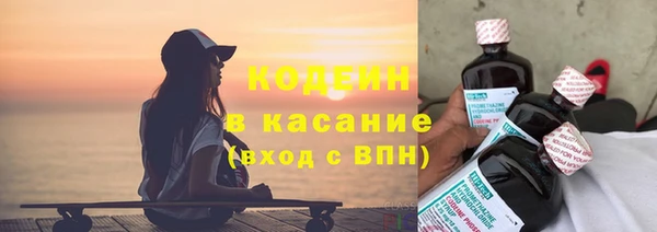 трава Белокуриха