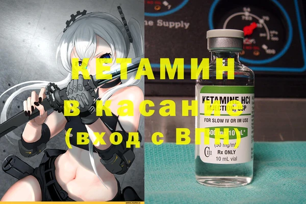 трава Белокуриха